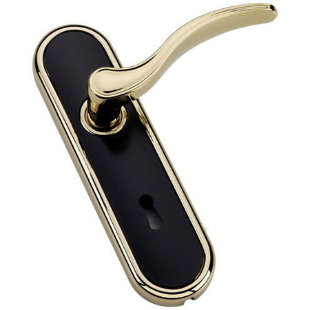 Picture for category Doors Handles