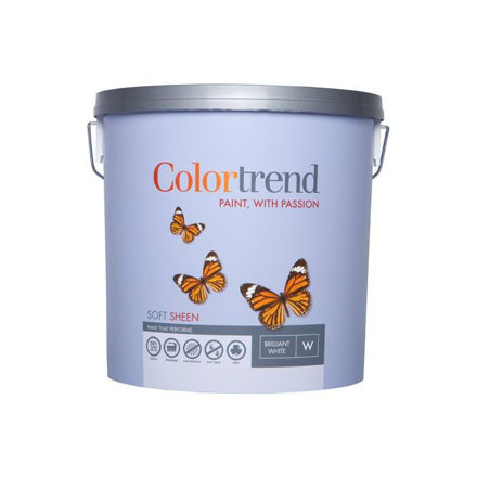 Picture of COLOURTREND INTERIOR S/SHEEN WHITE 10LTR