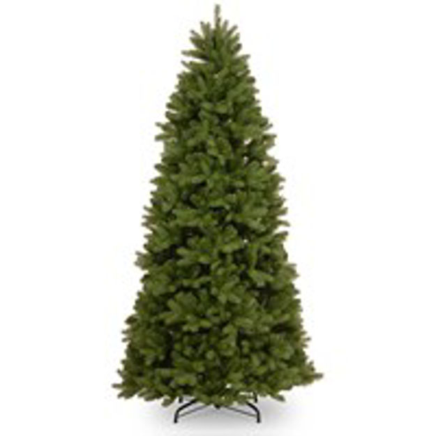 Picture of 2.2M NEWBERRY SPRUCE SLIM CHRISTMAS TREE 7.5F