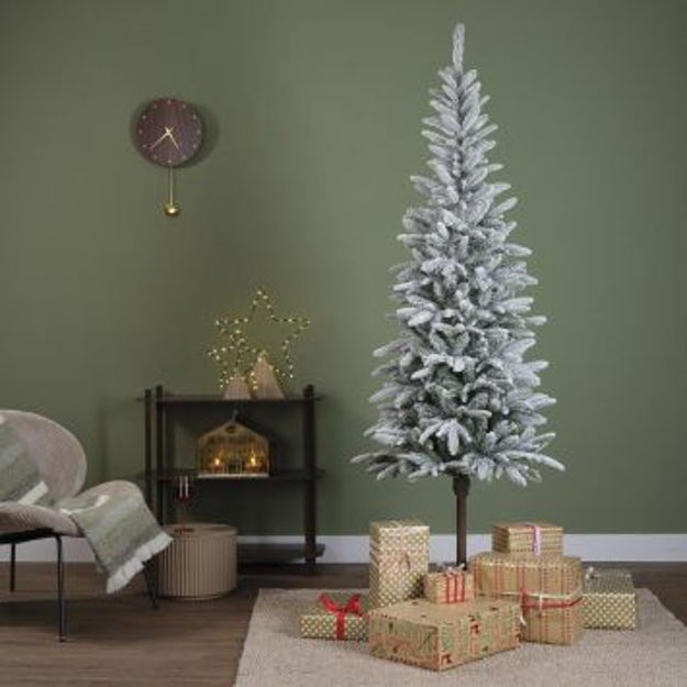 Picture of 2.1M SNOWY ALPBACK FIR CHRISTMAS TREE 7FT