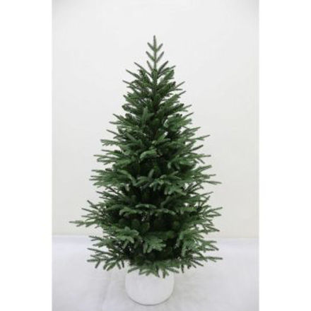 Picture of CASTLE ROCK POTTED CHRISTMAS TREE 4FT