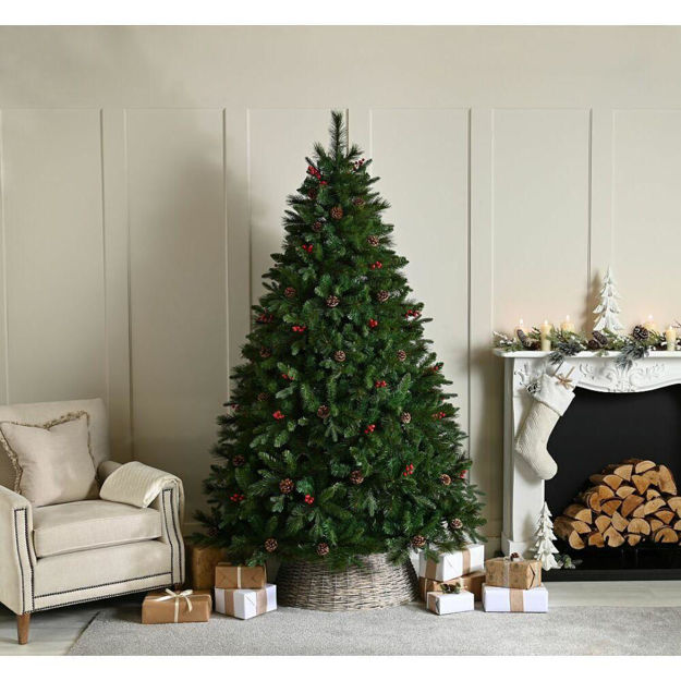 Picture of 2.1M BEN NEVIS PINE CHRISTMAS TREE 7FT